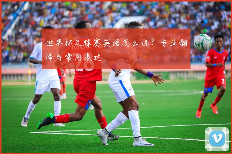 世界杯足球赛英语怎么说？专业翻译与常用表达