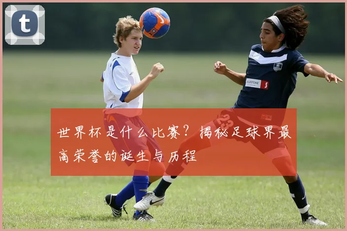世界杯是什么比赛？揭秘足球界最高荣誉的诞生与历程