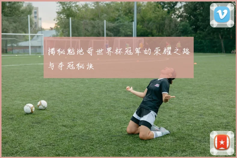揭秘魁地奇世界杯冠军的荣耀之路与夺冠秘诀