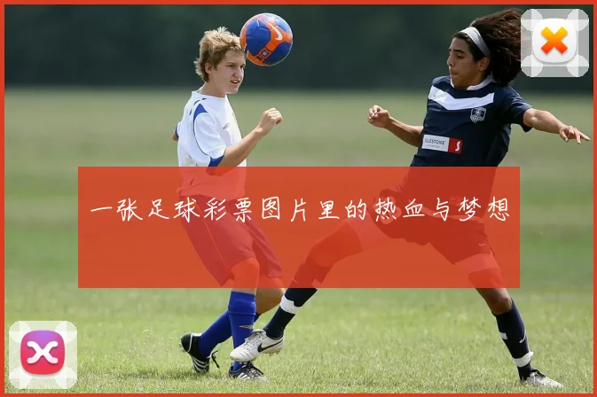 一张足球彩票图片里的热血与梦想