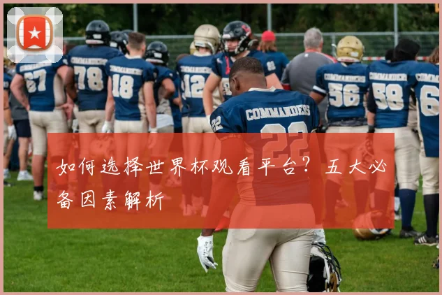 如何选择世界杯观看平台？五大必备因素解析
