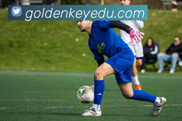 开云手机在线登录官网平台生态图