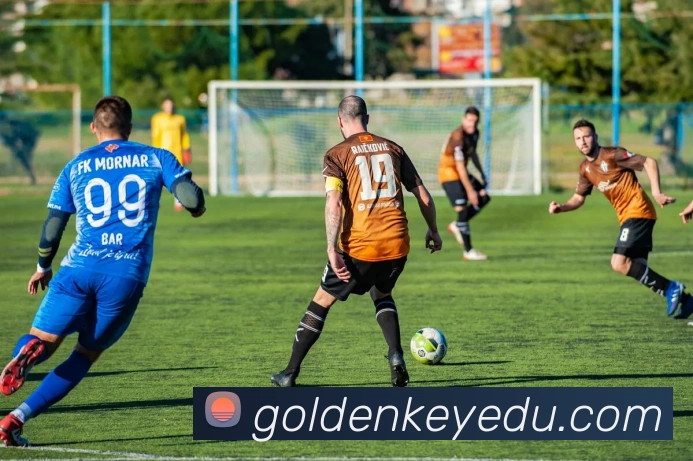 开云手机在线登录官网全站App